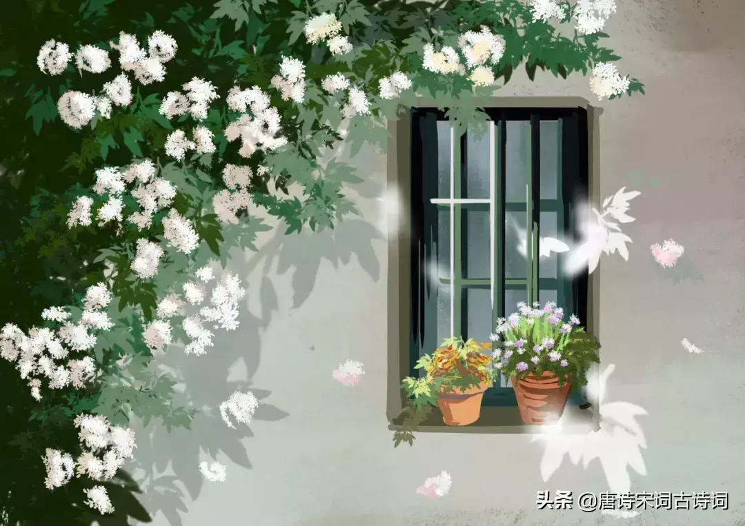 一年之计在于春，一天之计在于晨，每一个清晨，都值得为之醒来(图8)