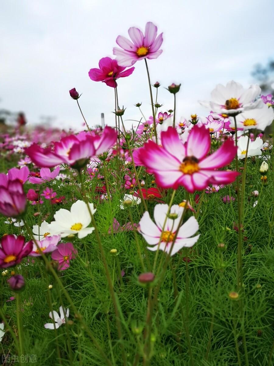 真诚相待，人心换人心，亘古不变的真理(图4)