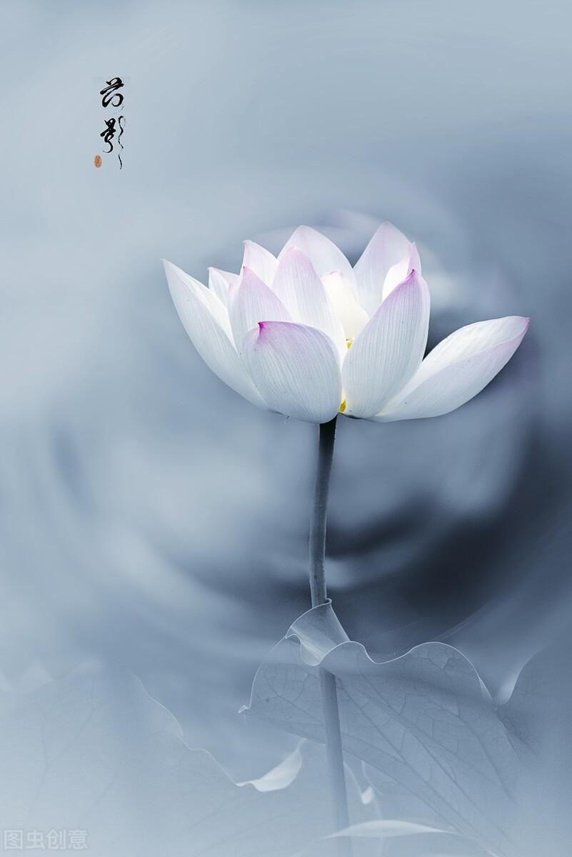 山水一程，往事千年，倾一世温柔，暖一场相逢(图1)