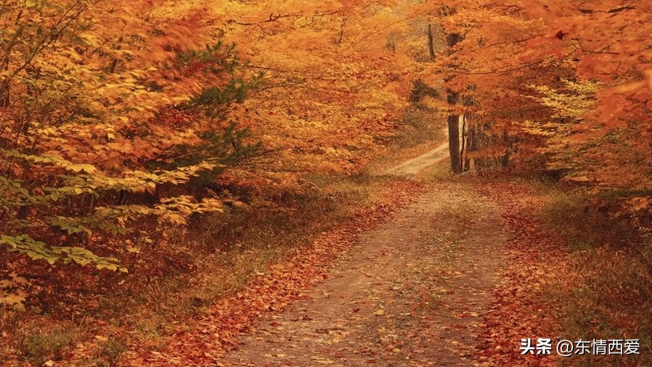 非常有深度的个性签名(图2)