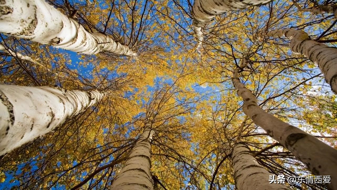 非常有深度的个性签名(图3)