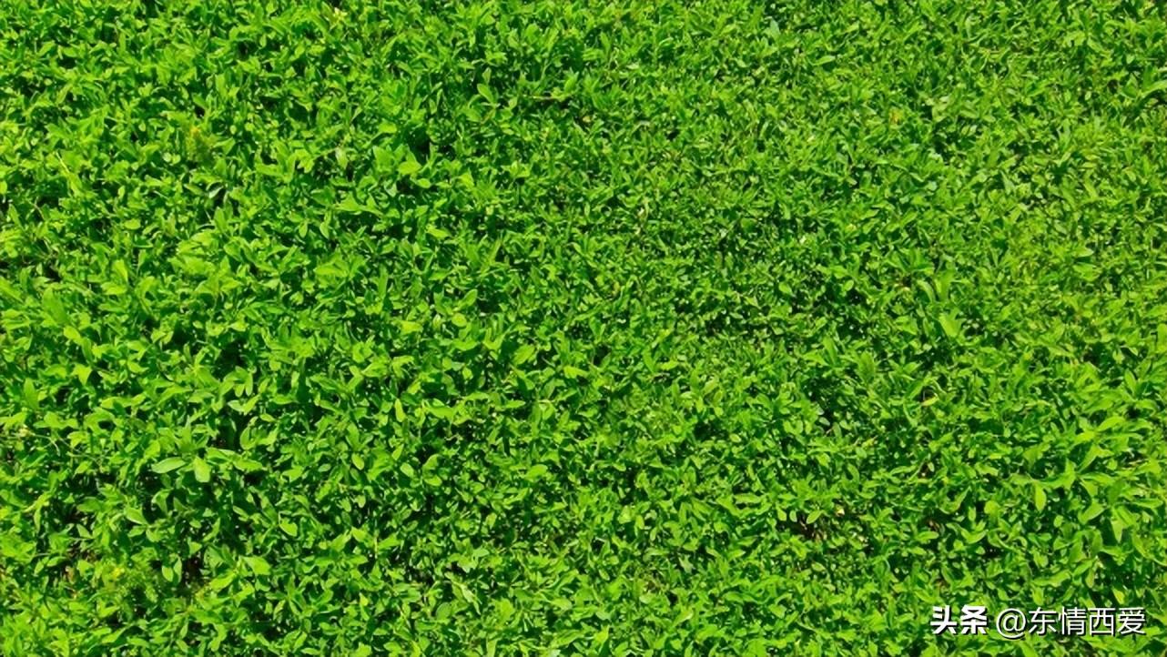 非常有深度的个性签名(图4)