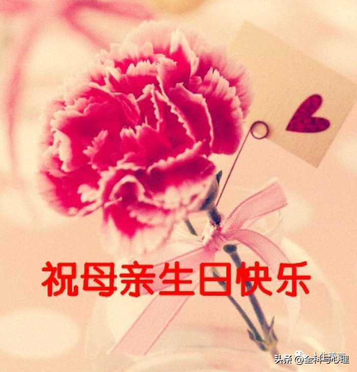 送给母亲的生日祝福语，妈妈生日文案高级感(图2)