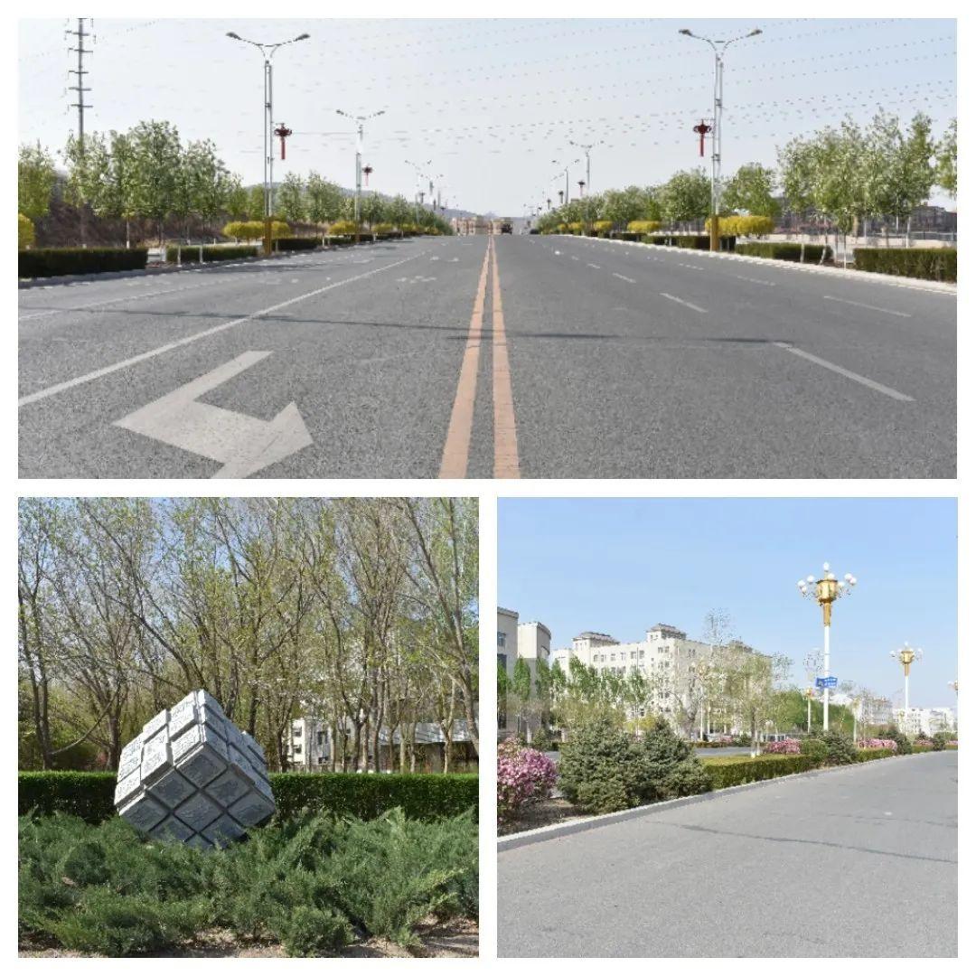 【倡议书】爱绿护绿倡议书(图6)