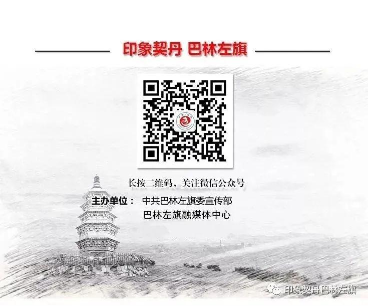 【倡议书】爱绿护绿倡议书(图7)