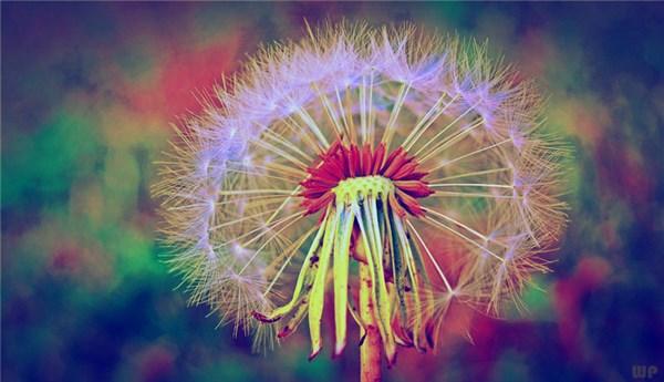 这正能量的句子，就是有点拽(图2)