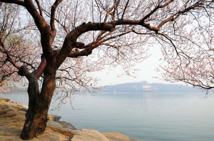 《说苑》10句名言，句句箴言，受益终身！(图3)