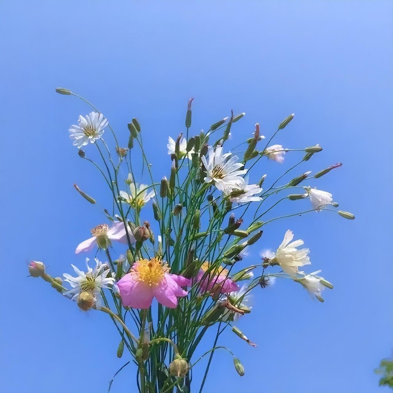 看淡一切的人生格言，句句箴言，值得收藏！(图2)