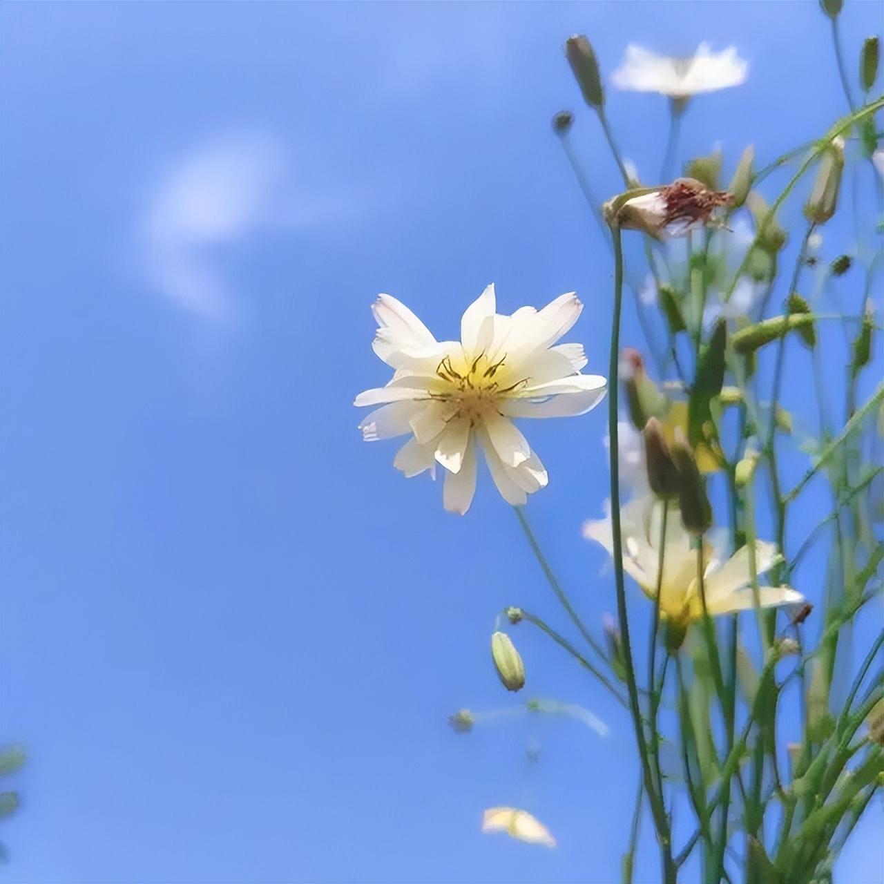 看淡一切的人生格言，句句箴言，值得收藏！(图3)
