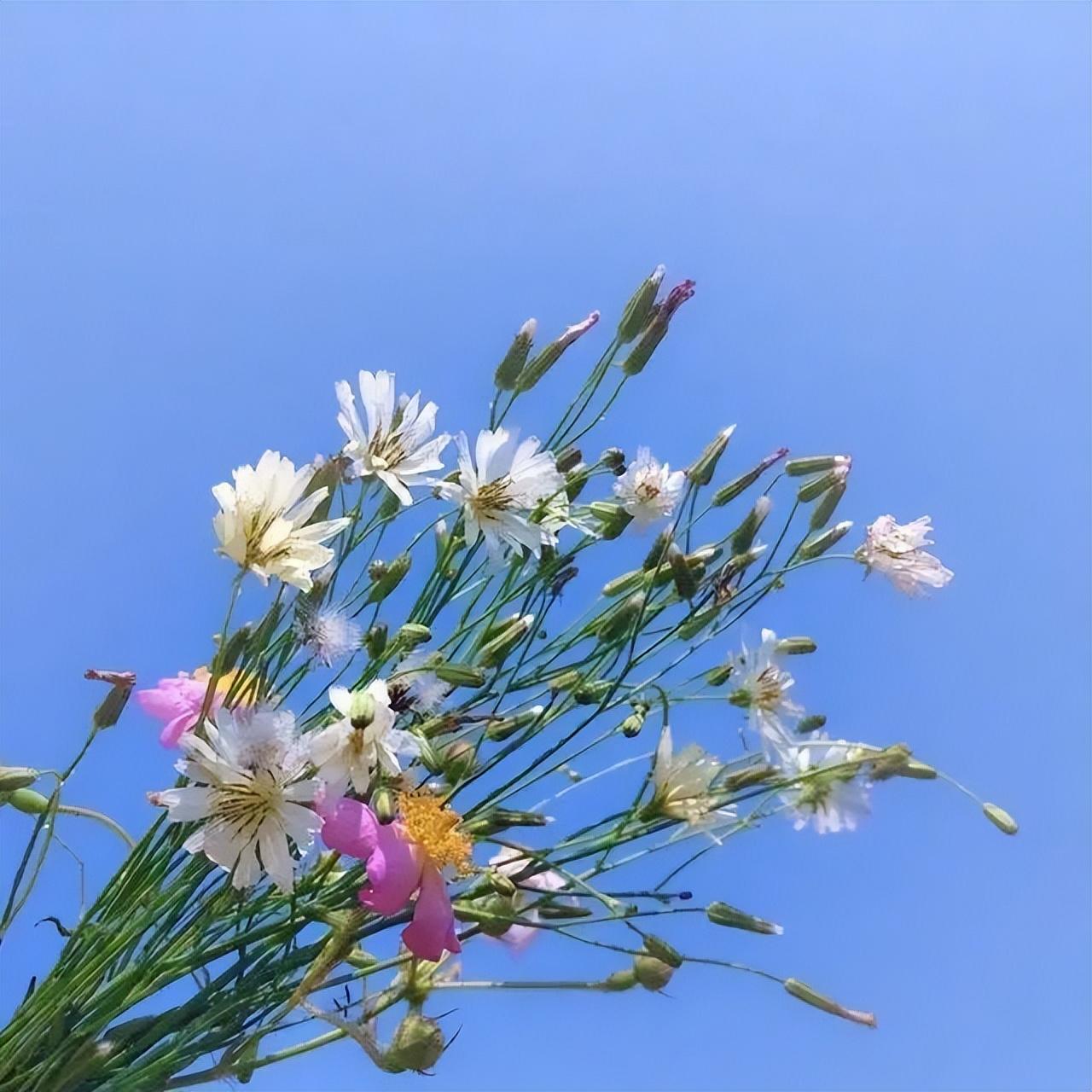 看淡一切的人生格言，句句箴言，值得收藏！(图7)