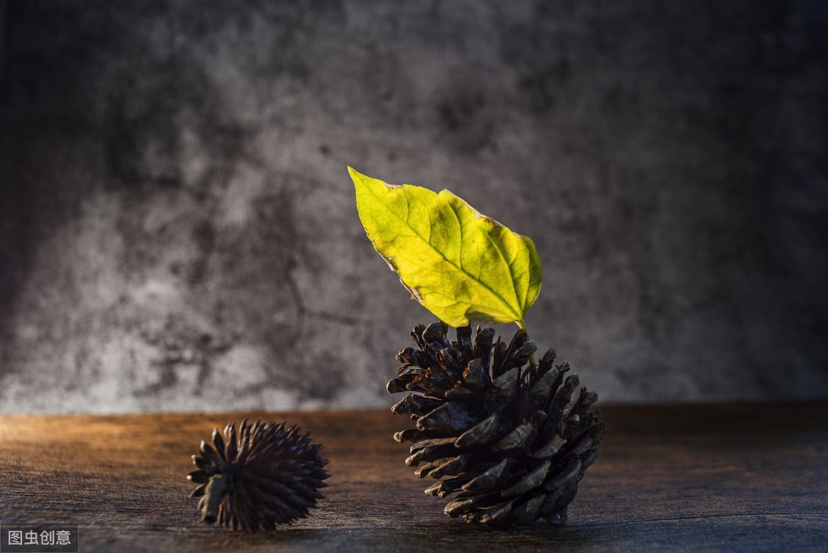 成功者最精辟的三十条格言警句，句句箴言，字字珠玑，值得收藏(图3)