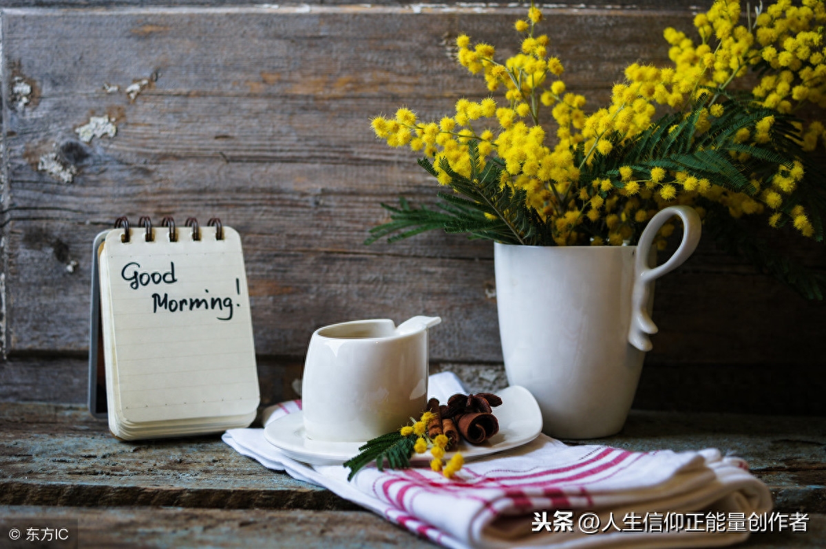 早励志语录正能量兔子 积极向上正能量的句子励志语录 有缘人早安(图2)