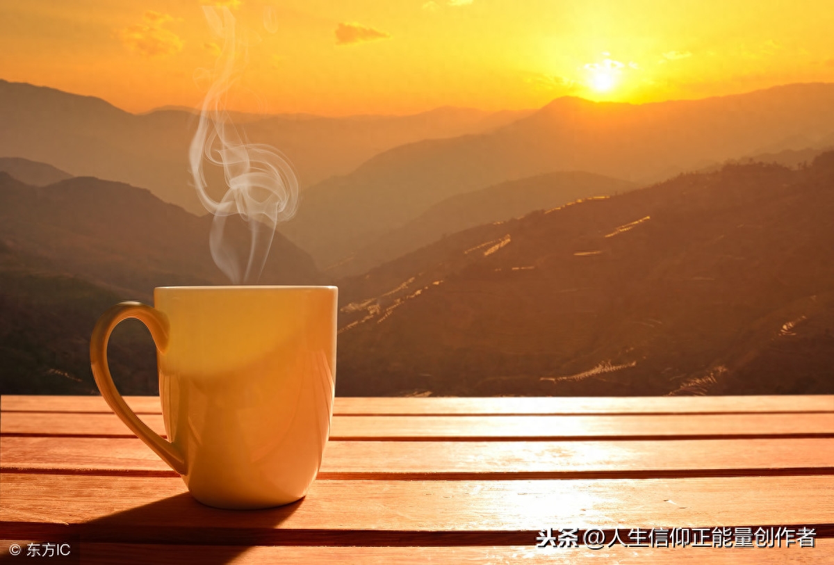 早励志语录正能量兔子 积极向上正能量的句子励志语录 有缘人早安(图3)