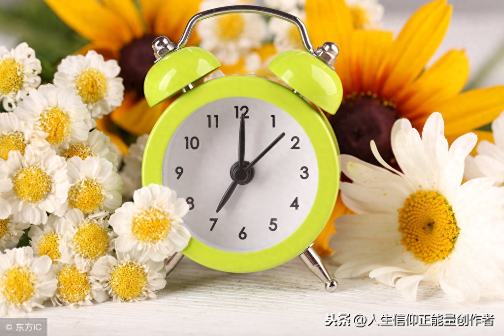 早励志语录正能量兔子 积极向上正能量的句子励志语录 有缘人早安(图4)