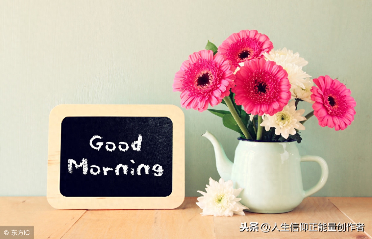 早励志语录正能量兔子 积极向上正能量的句子励志语录 有缘人早安(图5)