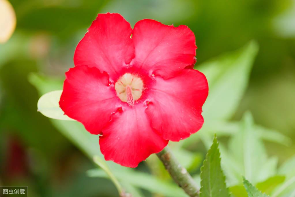 唯美暖心的经典情感句子：最长久的情，是平淡中的不离不弃(图5)