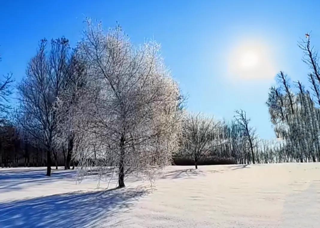 有你岁月如歌，爱你心有所属，今生再也离不开你(图1)