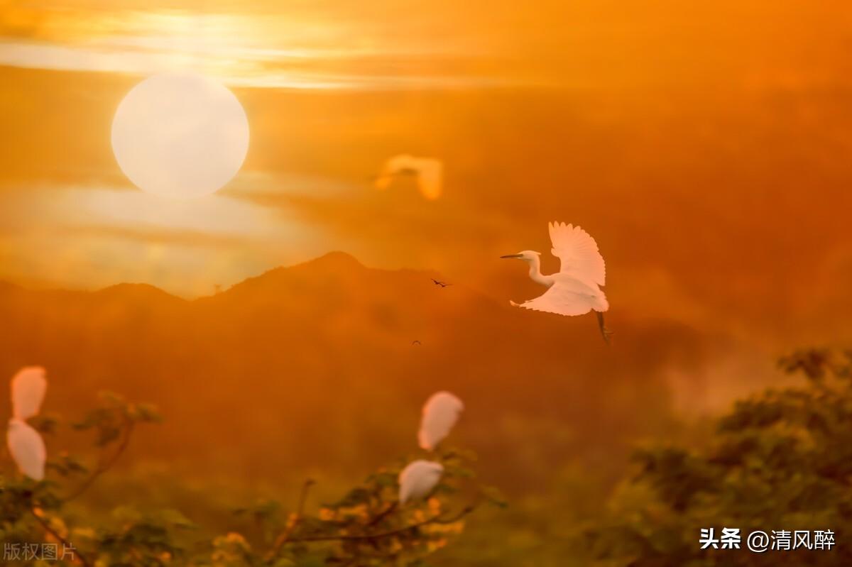 人生励志微信说说(图2)