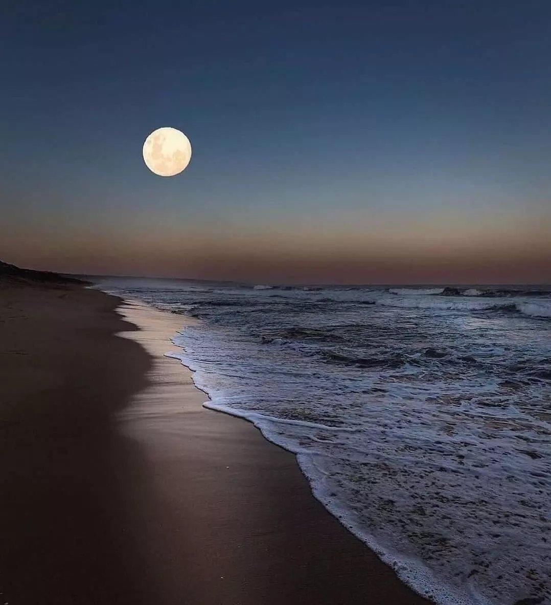 晚安问候语 睡吧，好梦带走所有的烦恼(图1)