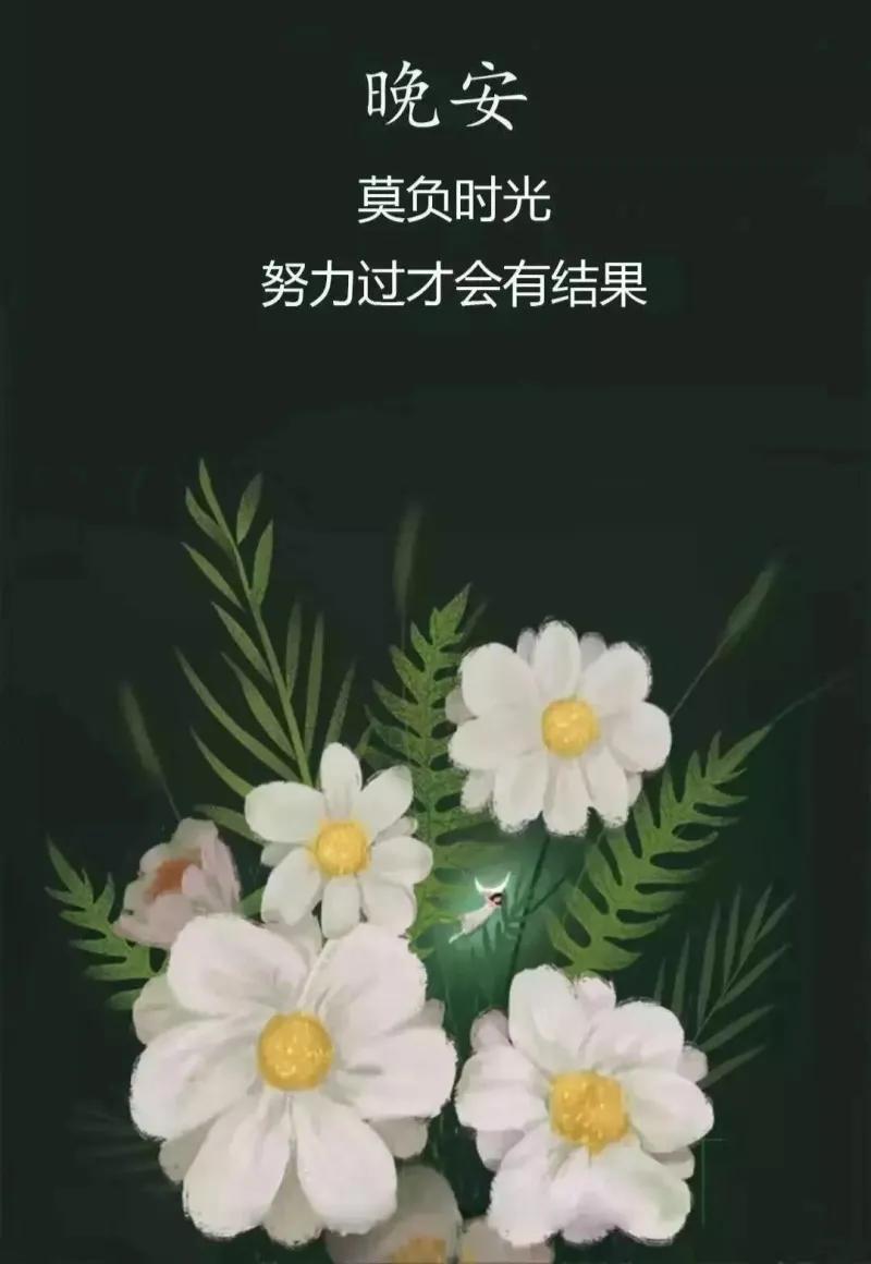 晚安问候语 睡吧，好梦带走所有的烦恼(图9)