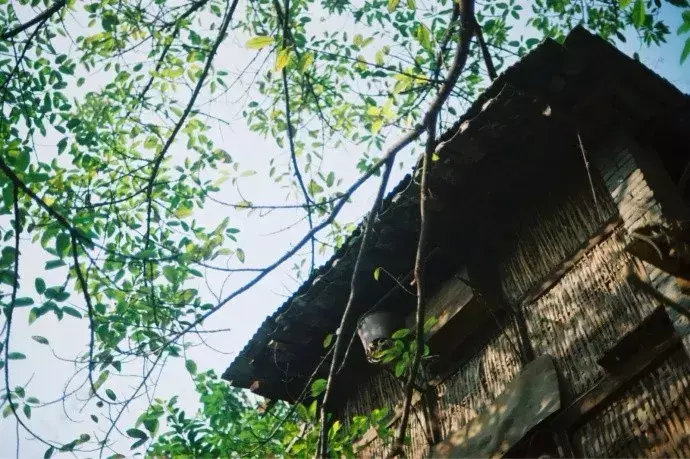 可当书法书写用语的国学经典名句！（含注释）(图1)