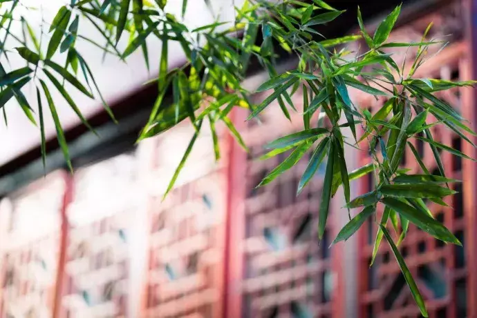 可当书法书写用语的国学经典名句！（含注释）(图2)