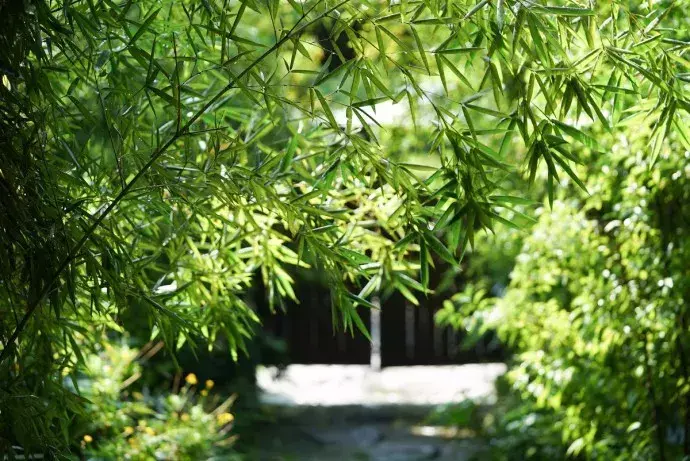 可当书法书写用语的国学经典名句！（含注释）(图4)