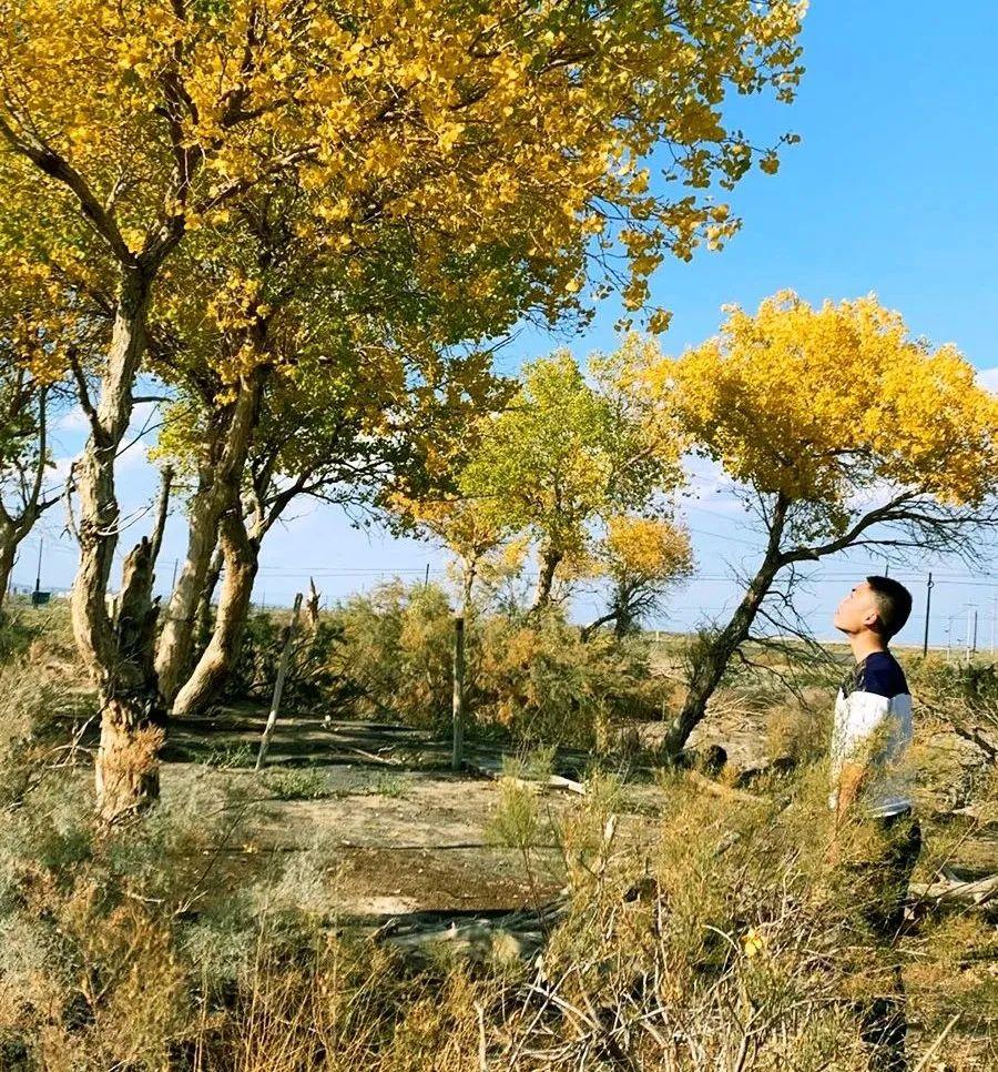 家书传情｜轻笺流年，用笔墨寄相思于吾儿(图4)