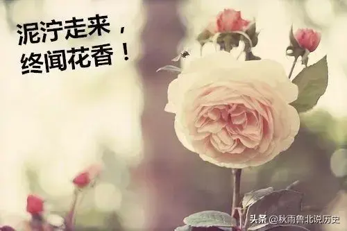 毕业季，分别感慨的句子，句句触心(图6)