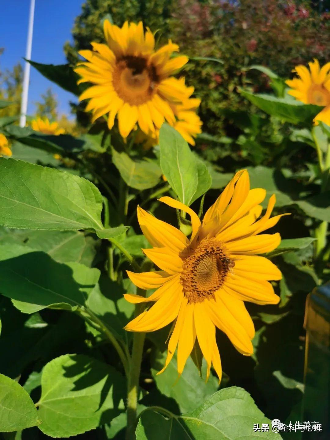 每日一言正能量句子，高级感励志文案短句(图6)