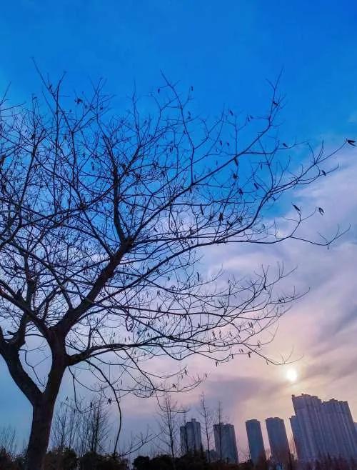 天冷了适合发朋友圈的幽默句子(图2)