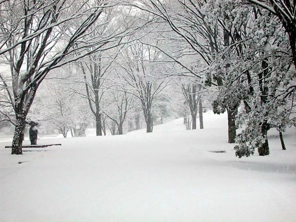 描写冬天的好词好句好段，孩子作文肯定用得上，收藏起来读一读(图2)