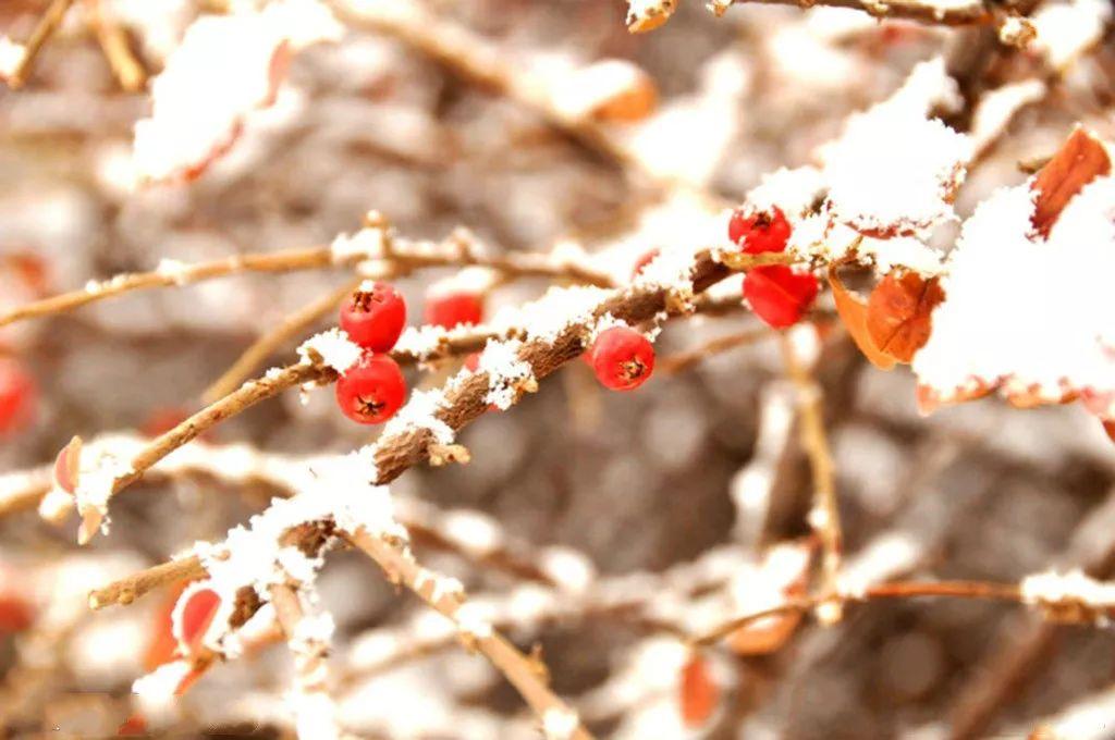 描写冬天的好词好句好段，孩子作文肯定用得上，收藏起来读一读(图3)