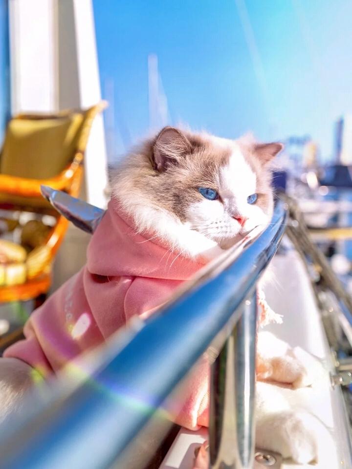 适合天冷/冬天发的文案(图2)