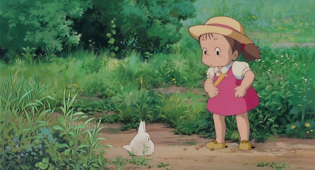 曹文轩：这个世界，  只属于那些细心的人(图2)