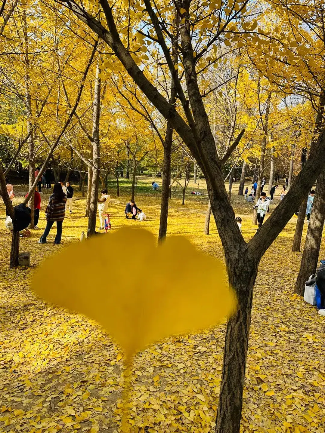 美景与励志语录搭配更适合你，迷茫的时候进来看看(图2)