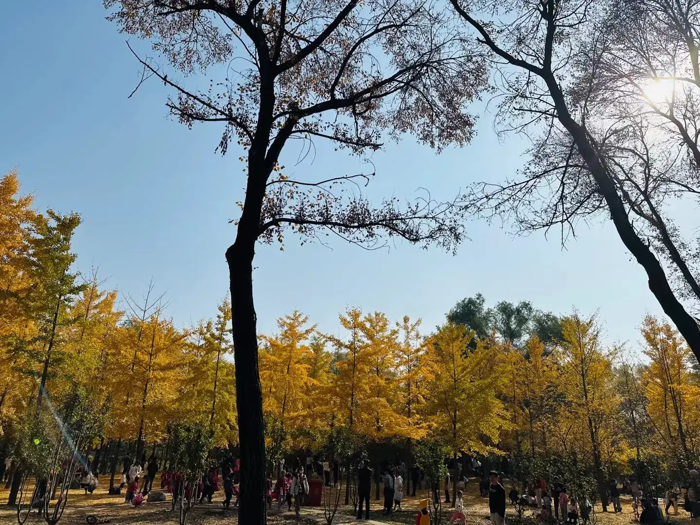 美景与励志语录搭配更适合你，迷茫的时候进来看看(图5)