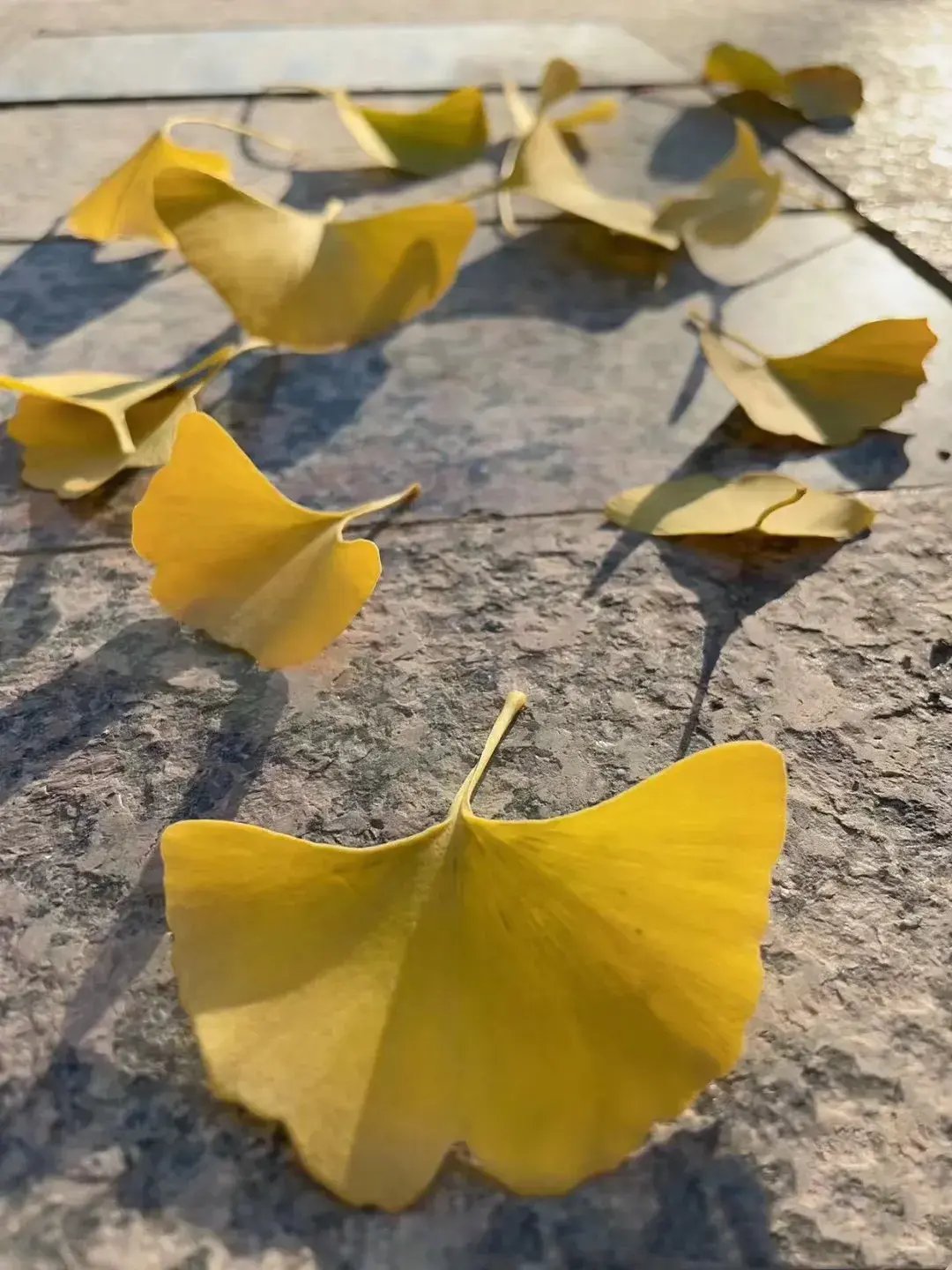 美景与励志语录搭配更适合你，迷茫的时候进来看看(图7)