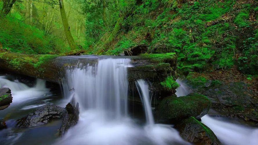 忙里偷闲的说说，赶紧去发朋友圈吧！(图4)