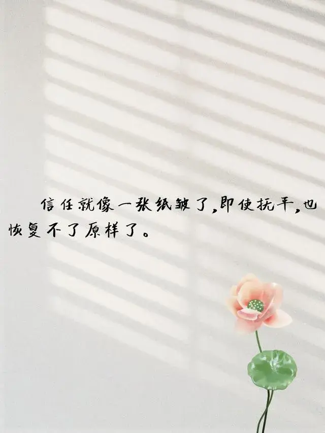 抖音很火的句子｜引路靠贵人，走路靠自己，成长靠经历。(图2)