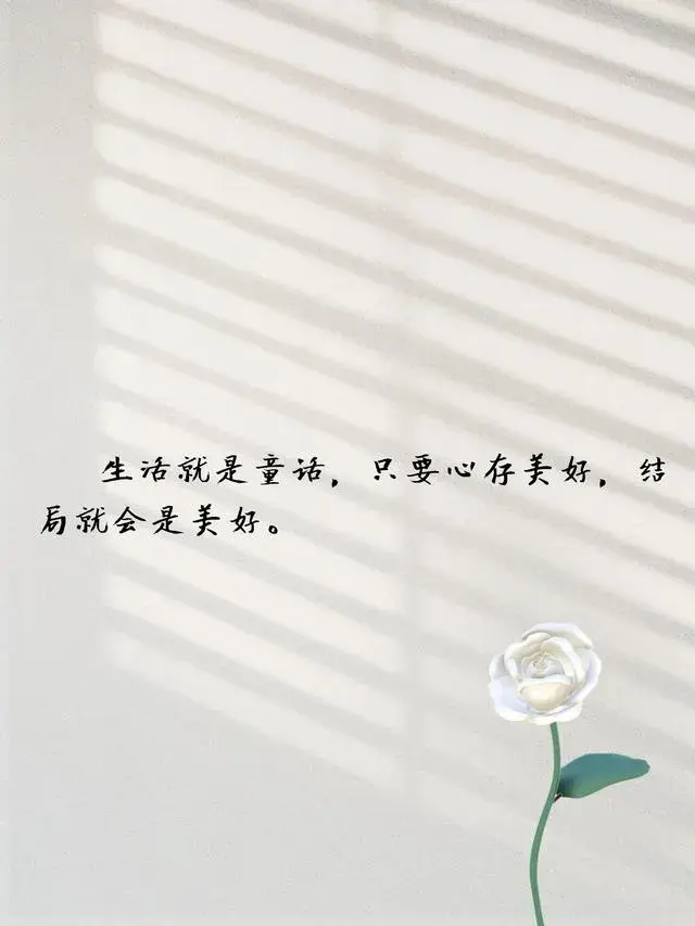 抖音很火的句子｜引路靠贵人，走路靠自己，成长靠经历。(图3)