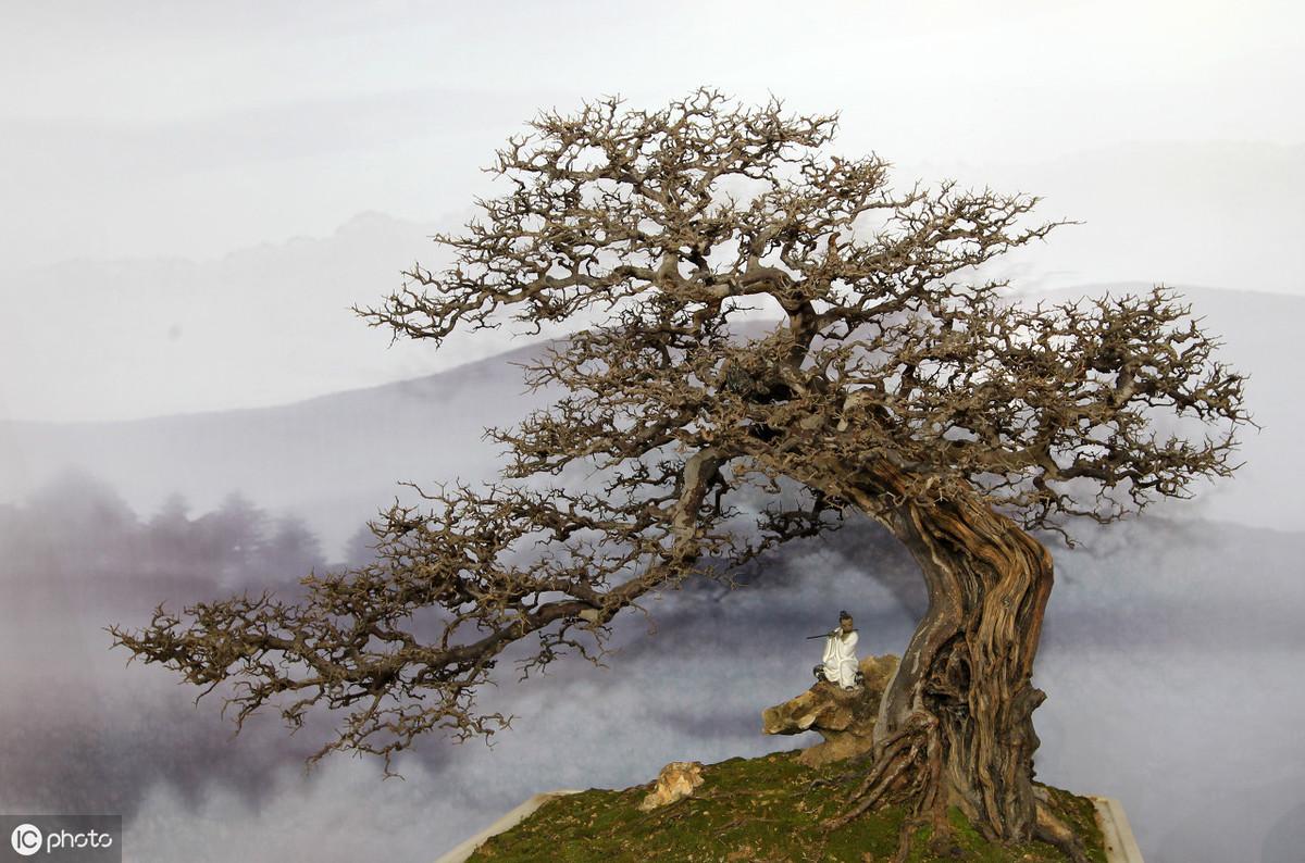 中国修身名言100句（经典收藏）(图16)