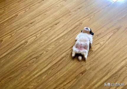 关于星星月亮银河的说说(图2)