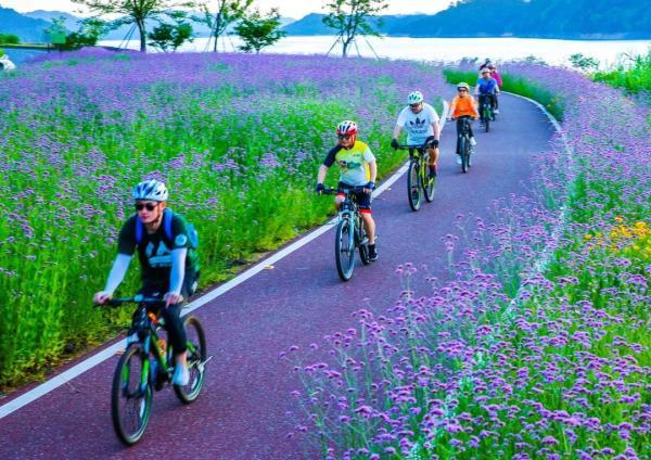 美成仙境！这些家门口的“普罗旺斯”，许你一场无法抗拒的紫色浪漫(图12)