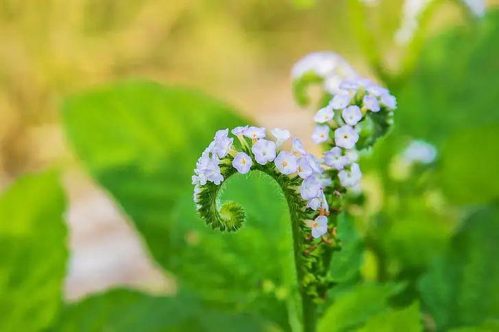 奶茶下午茶文案丨打工逆风如解意，来杯奶茶解解腻(图6)