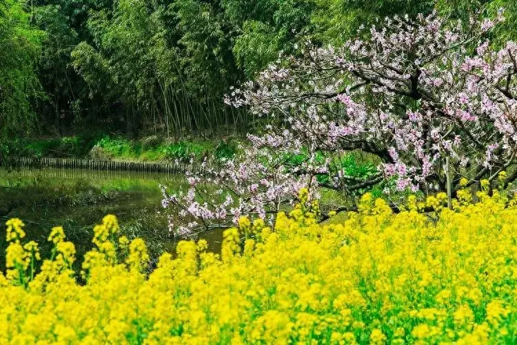 面对挫折，勇敢前行！(图1)