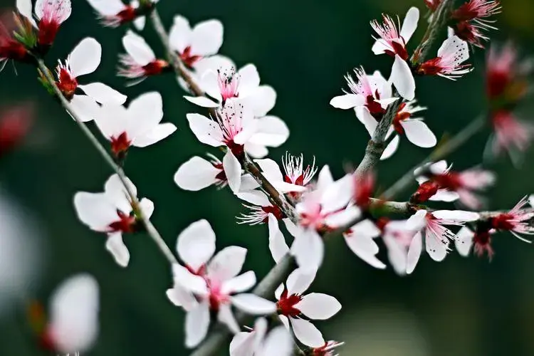 面对挫折，勇敢前行！(图4)