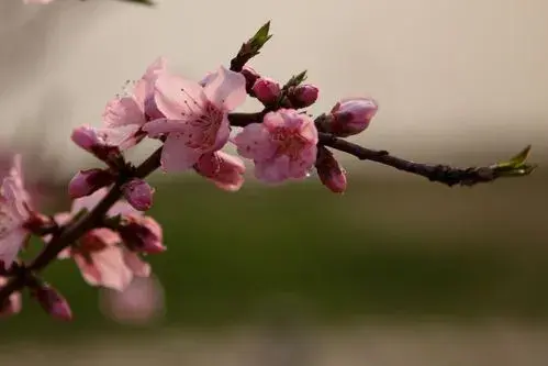 面对挫折，勇敢前行！(图6)