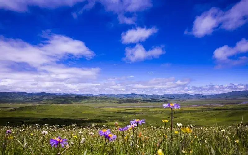 面对挫折，勇敢前行！(图11)