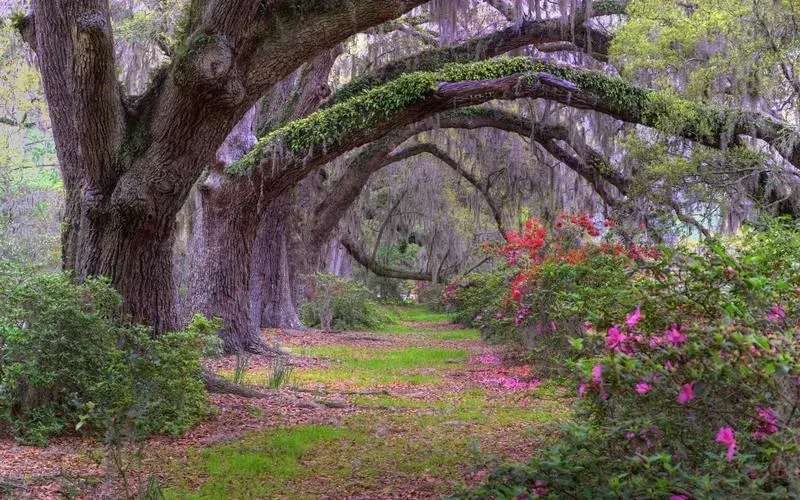 面对挫折，勇敢前行！(图12)